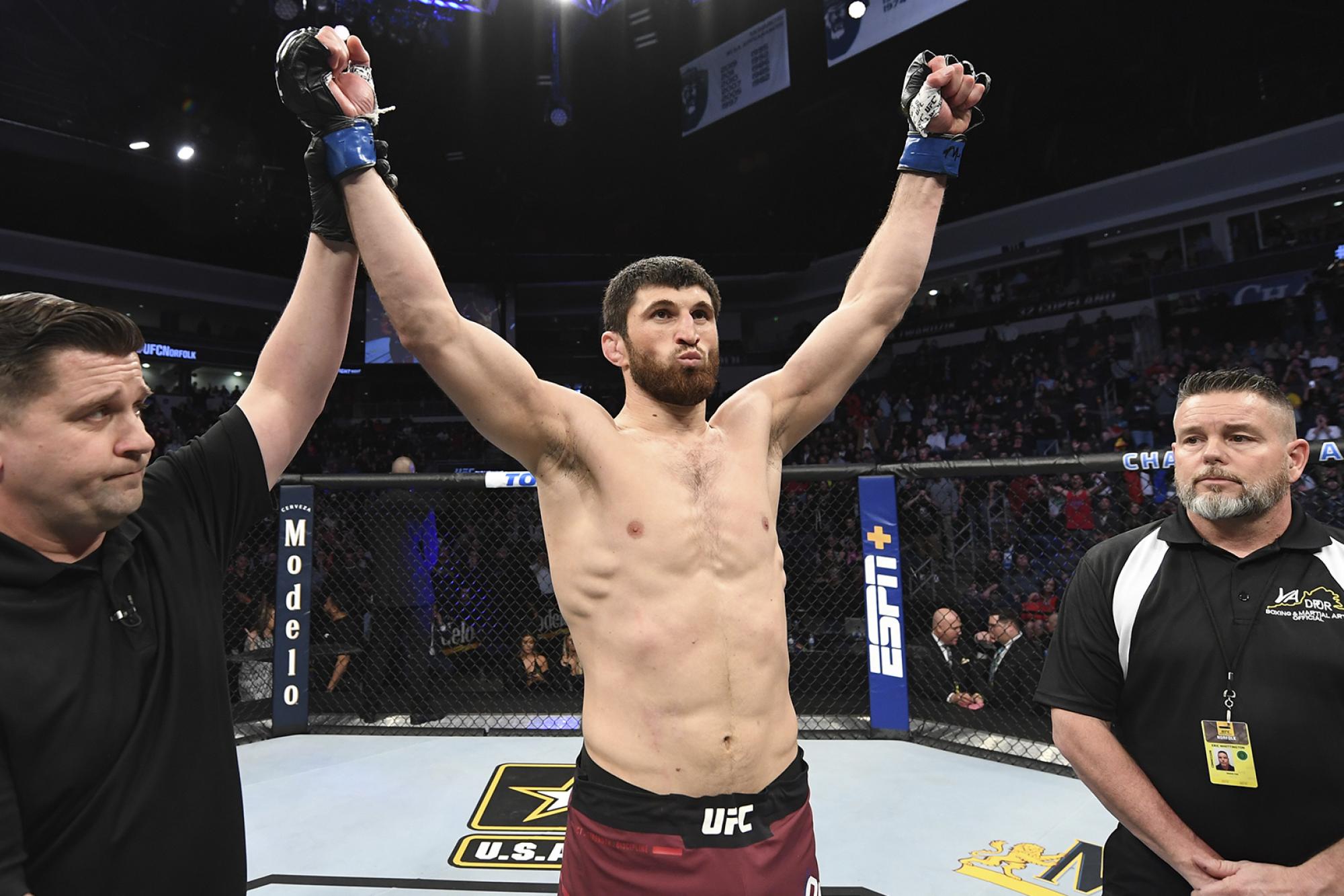 Prognoz I Stavka Na Boj Magomed Ankalaev Ion Kucelaba 2 Ufc 254 Legalstavka Legalbets